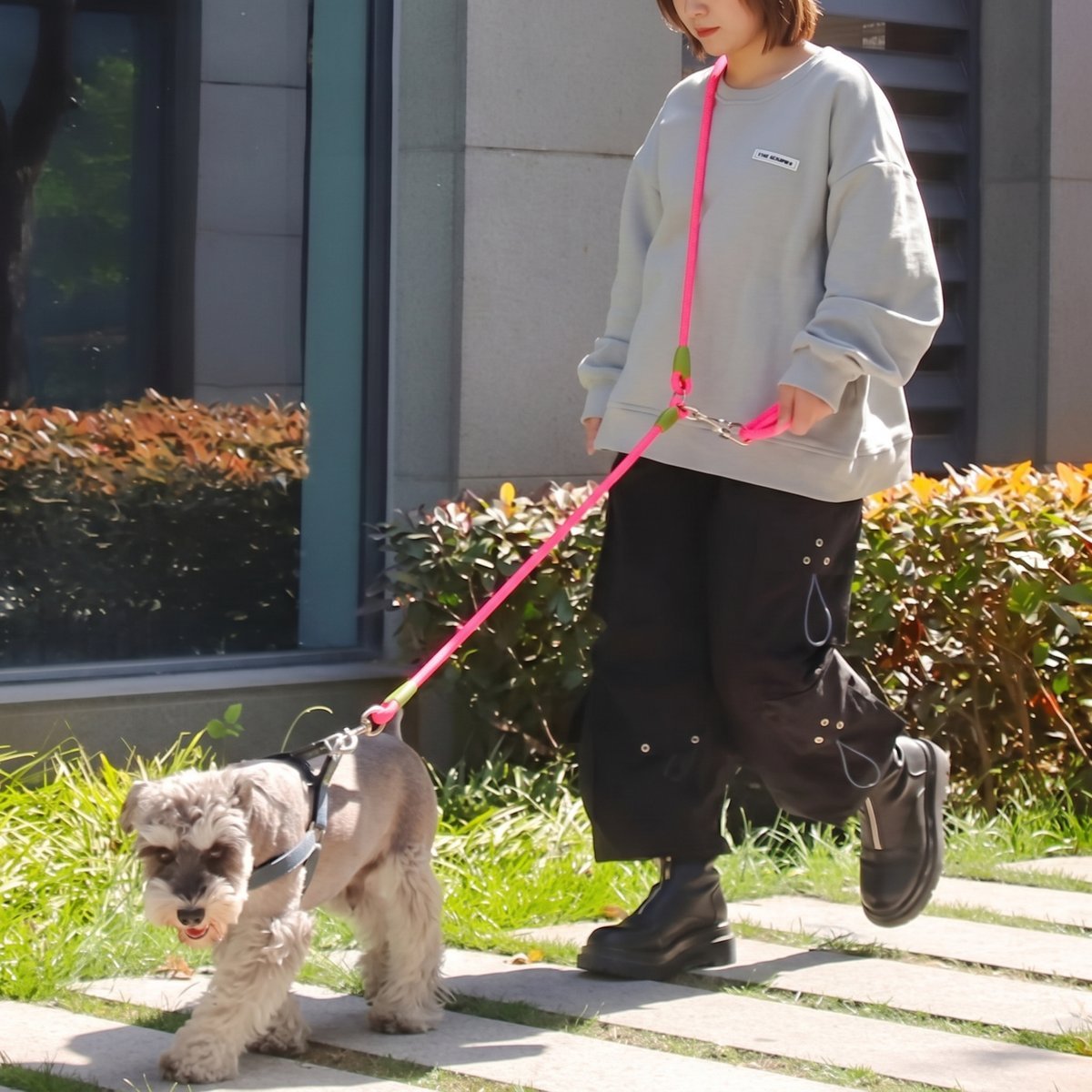 Femme marchant en ville avec un schnauzer nain, laisse chien main libre PawSync en corde rose fluo