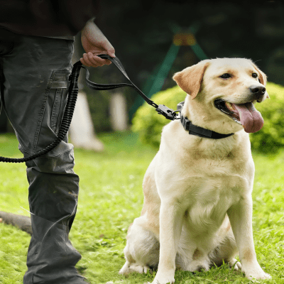 laisse chien poignee neoprene antiderapante, prise en main confortable ControlMax™