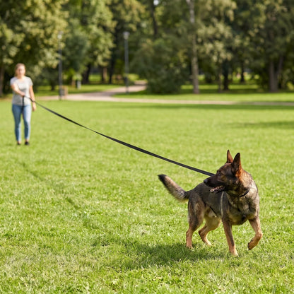 Laisse corde chien enroulée coloris noir, Berger Allemand en promenade dans un parc