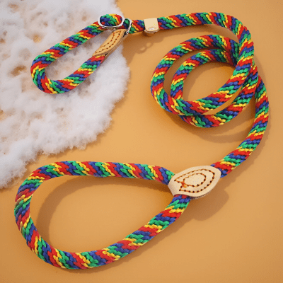 Laisse corde pour chien | CaninoFlex™ - Chien store