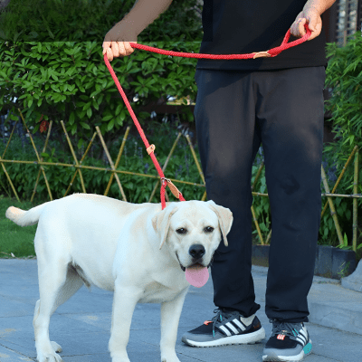 Laisse corde pour chien | CaninoFlex™ - Chien store