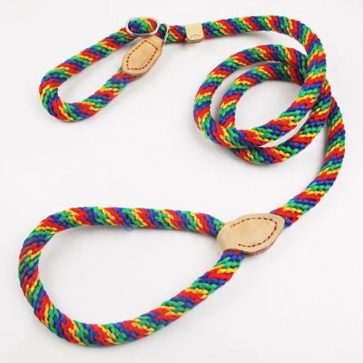 Laisse corde pour chien CaninoFlex tressée aux couleurs vives arc-en-ciel avec anneau coulissant et système de blocage en cuir