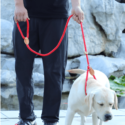 Laisse corde pour chien | CaninoFlex™ - Chien store