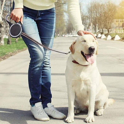 laisse de chien enrouleur noir au parc, corde retractable fluide pour promenade sereine MaxLeash™