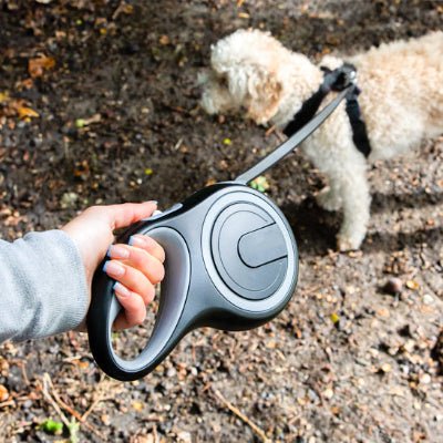 de chien enrouleur noir gros plan, main droite controle la longueur sur sentier MaxLeash™