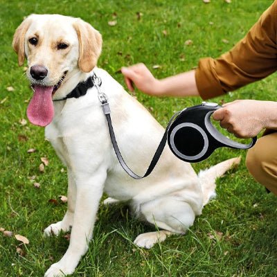 laisse de chien enrouleur noir, labrador assis, longueur courte pour securite au parc MaxLeash™