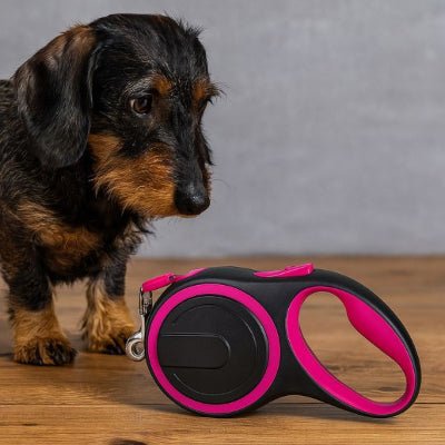 laisse de chien enrouleur rose gros plan, teckel curieux, design compact robuste MaxLeash™