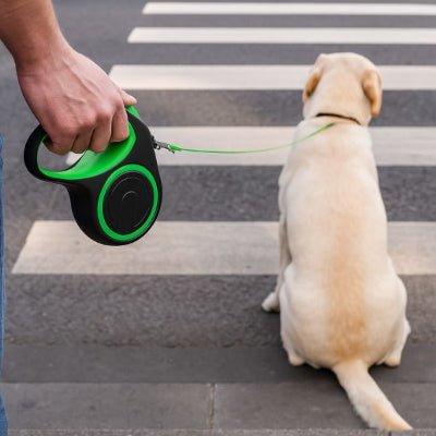 laisse de chien enrouleur vert, arret au passage pieton, maitre raccourcit la longueur pour securite MaxLeash™