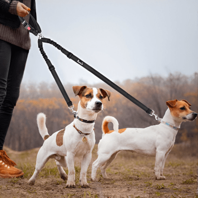 Laisse double chien | DuoSafe™ - Chien store