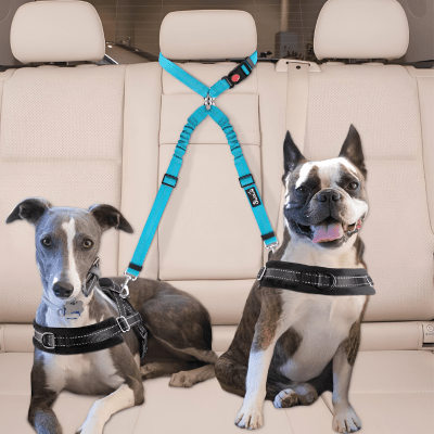 Laisse double chien | DuoSafe™ - Chien store