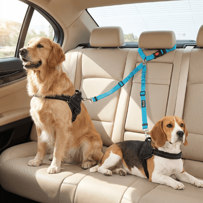 Laisse double chien voiture et promenade fixée à l'appui-tête arrière pour sécuriser deux chiens en trajet