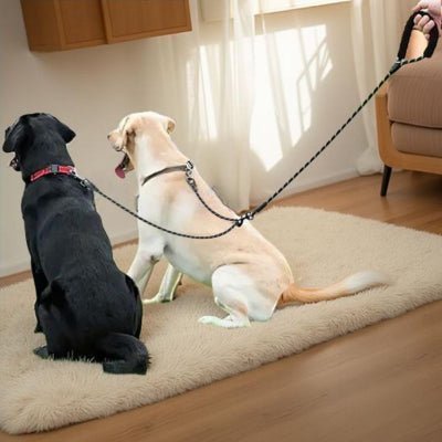 Laisse double pour chien | DuoFlex™ - Chien store