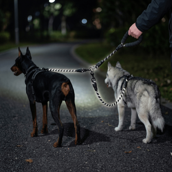 Laisse double pour chien DuoFlex Chien store réfléchissante brillante de nuit avec deux grands chiens