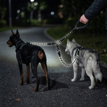 Laisse double pour chien DuoFlex Chien store réfléchissante brillante de nuit avec deux grands chiens
