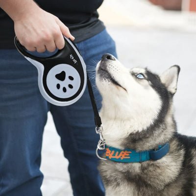 laisse enrouleur chien noir, contrôle fiable et mousqueton chrome résistant  - Petdog™ - Chien store