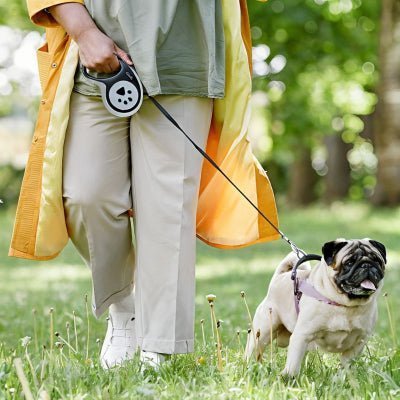 laisse enrouleur chien pour petit chien au parc, prise en main confortable - Petdog™ - Chien store