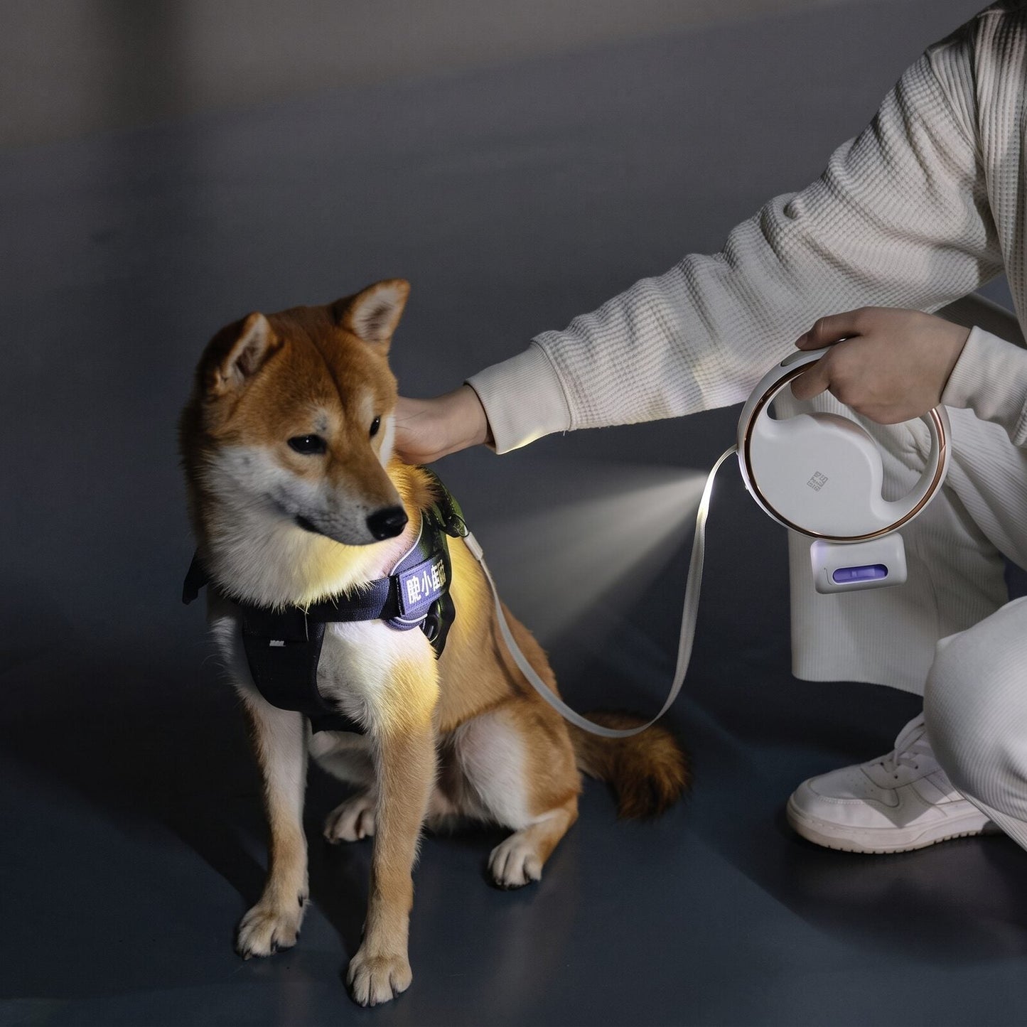 Personne caressant son chien de nuit, lampe LED de la laisse enrouleur rechargeable pour chien GlowLoop allumée