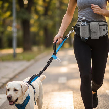 Femme faisant du jogging sur un sentier, ceinture de jogging grise et poignée de la laisse bleue