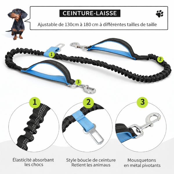 Details de la laisse chien main libre avec tissu impermeable poche telephone poche laterale et emplacement pour gourde