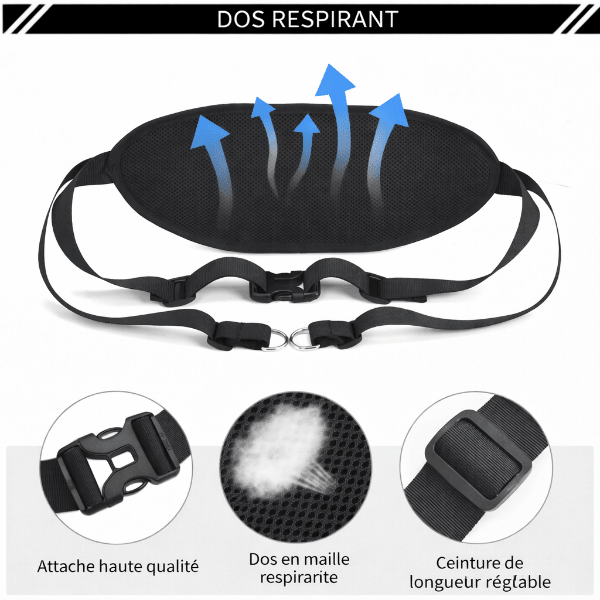Dos respirant en maille pour ceinture laisse chien offrant confort aeration et maintien pendant les longues promenades