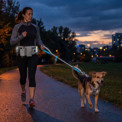 Femme faisant du jogging en forêt à la lumière dorée avec un labrador portant un harnais bleu, laisse mains libres