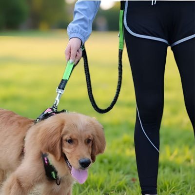 Laisse mains libres pour chien | LibertyRun™ - Chien store