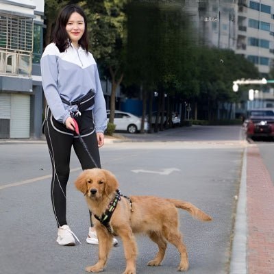 Laisse mains libres pour chien | LibertyRun™ - Chien store
