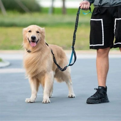 Laisse mains libres pour chien | LibertyRun™ - Chien store