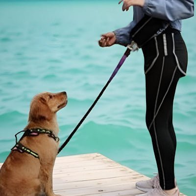 Laisse mains libres pour chien | LibertyRun™ - Chien store