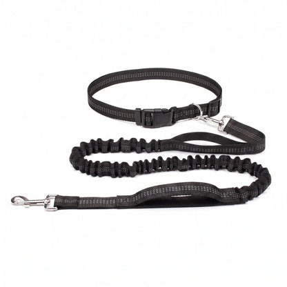 Ceinture de jogging mains libres avec laisse élastique, coloris noir, vue produit
