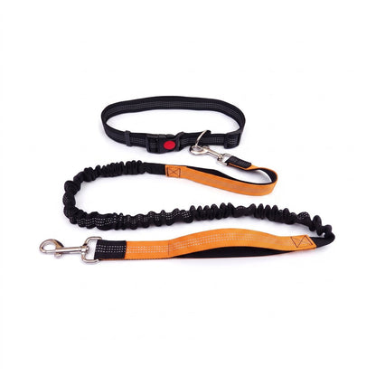 Ceinture de jogging mains libres avec laisse élastique, coloris vert et orange, vue produit détaillée