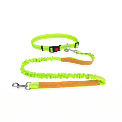 Ceinture de jogging mains libres avec laisse élastique, coloris vert et orange, vue produit
