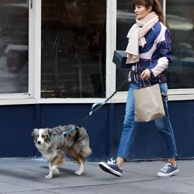 Laisse mains libres pour chien actif de grande taille