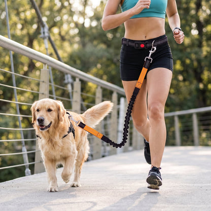 Vue rapprochée d'un golden retriever et de sa maîtresse sur un pont, ceinture mains libres verte et orange