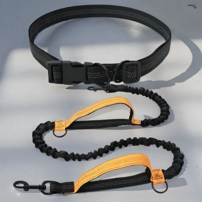 laisse mains libres pour chien avec ceinture élastique noire et poignées orange PawFree