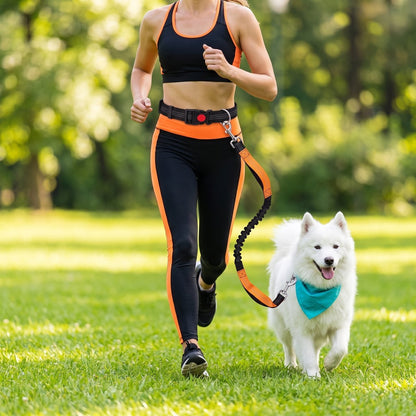 Femme faisant du jogging dans un parc avec un samoyède portant un bandana turquoise, ceinture mains libres orange
