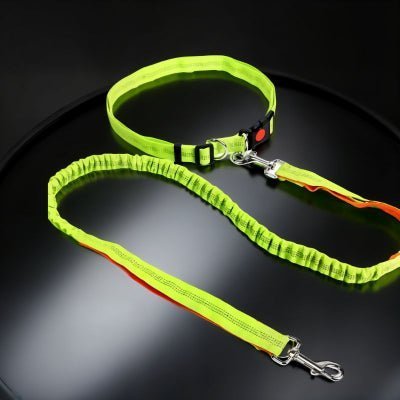 laisse mains libres pour chien avec poignées double amorti couleur orange PawFree
