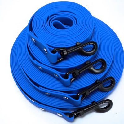 laisse pour chien biothane bleues robustes et imperméables