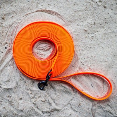 laisse pour chien biothane orange imperméable enroulée sur sable