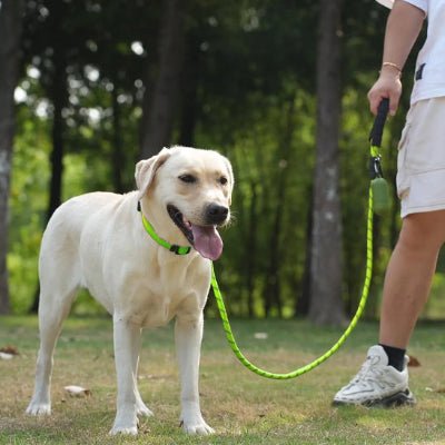 laisse pour chien corde résistante pour promenade quotidienne TrekLine™