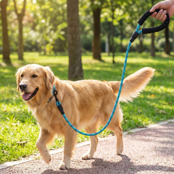 Laisse pour chien corde TrekLine Chien store bleu turquoise avec poignée rembourrée en mousse tenue en main lors d'une balade au parc avec un Golden Retriever