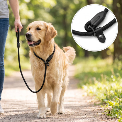 laisse pour chien en corde CordaWalk - coloris noir, golden retriever en promenade avec zoom sur le mousqueton