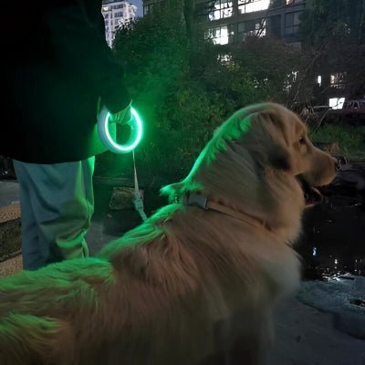 Laisse pour chien enrouleur | UFO™ - Chien store