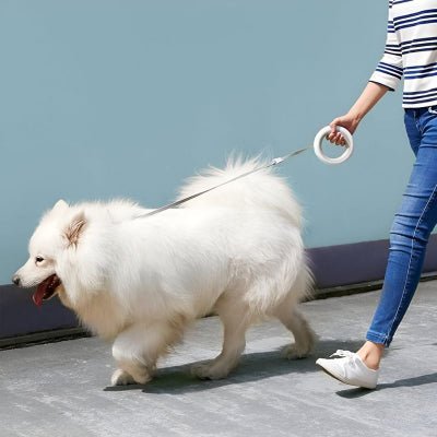 Laisse pour chien enrouleur | UFO™ - Chien store