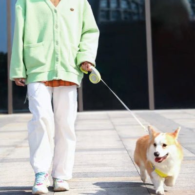 Laisse pour chien rétractable corgi marchant en ville GlideLeash™