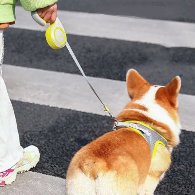 Laisse pour chien rétractable corgi traversant passage sécurité GlideLeash™