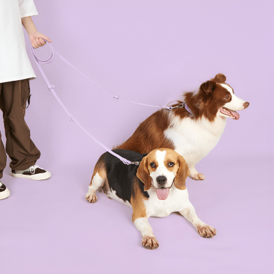 Laisse pour chien main libre multi taches avec ceinture réglable et pochette pratique | multi - tâches - Chien store