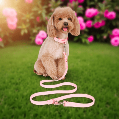 Laisse pour chien main libre rose idéal pour femme sportive course avec chien | multi - tâches - Chien store