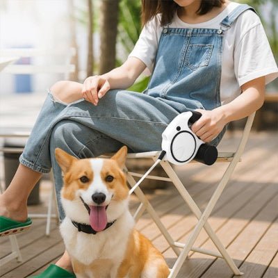 laisse pour chien rétractable blanche en promenade sur terrasse avec Corgi - NightWalk™