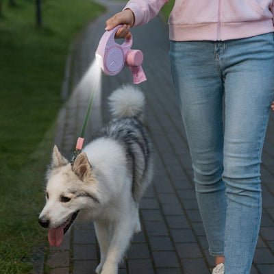 laisse pour chien rose avec LED allumée pour balade nocturne avec Husky - NightWalk™